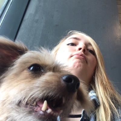 rhiannonpowell_'s profile picture. Studying Computer Games Programming @ Staffs.