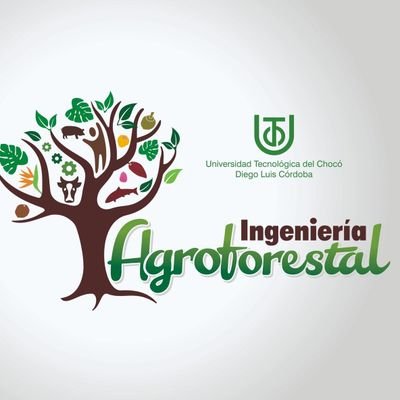 Programa de Ing. #Agroforestal de la facultad de Ingeniería de la Universidad Tecnológica del Chocó. #Nature #Ingenieria♻️🌱
