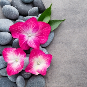 artofbeautyskin's profile picture. Art Of Beauty Skin offering a great spa experience, with all skin care procedures,  facials, laser treatments, and massage therapy by professional staff