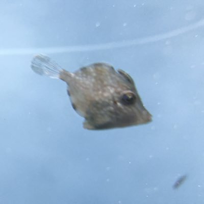 smile36Disney's profile picture. 、