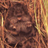 ZXWang_Lab's profile image