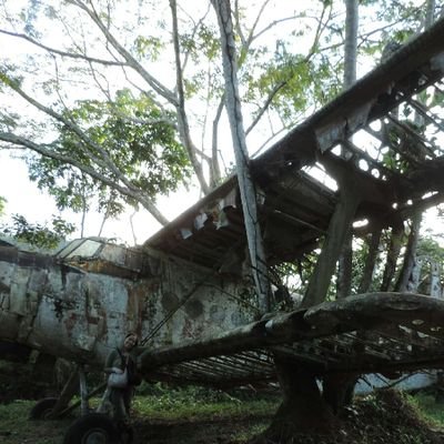 Lita_Fio's profile picture. 🇵🇪 PhD(c) Biological sciences-Ecology/
Plants communities/Biogeography/Macroecology/Mammals