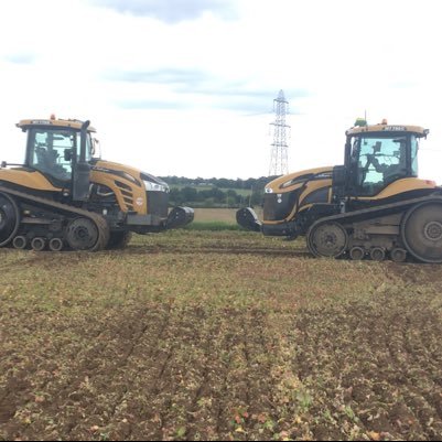 Farm Manager, mixed arable farm, 1800 acres in South Norfolk. Other Enterprises include St Mary’s Court business complex and JV Red Poll Herd, The Carleton Herd