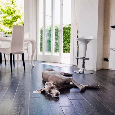 avv_merighi's profile picture. 