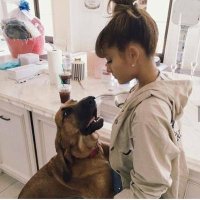 ARINATOR (@c_grandef) 's Twitter Profile