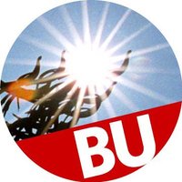 BU School of Theology (STH) (@butheology) 's Twitter Profile