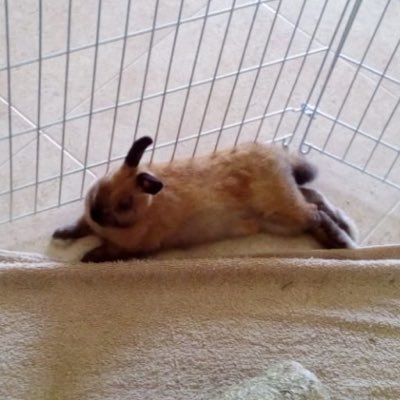 tiop279's profile picture. 🤪