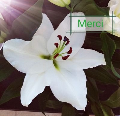 973Cine's profile picture. Ballads lover