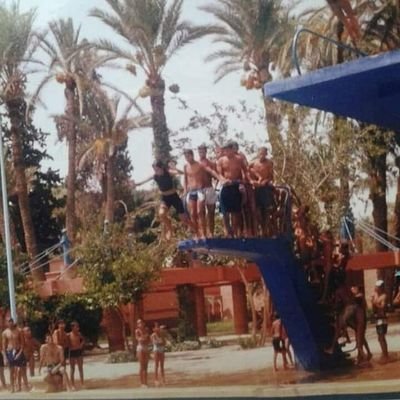 rayane_younous's profile picture. 