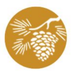 Lone Pine Campsites (@lonepinevt) Twitter profile photo Lone Pine Campsites (@lonepinevt) Twitter profile photo