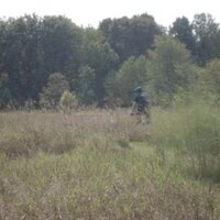 John Sciberras (@bringcompass) 's Twitter Profile