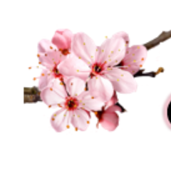 Welcome to Cherry Blossom Skin Care! We provide the best soaps, lotions and bath bombs on the internet. Shop our collection in the link below!