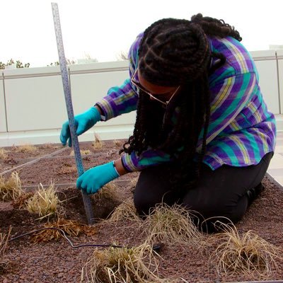 Assistant Professor of Environmental Science / Green Roof Researcher. she/her/hers