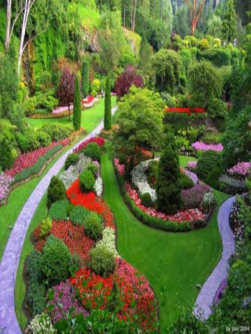 Gardening enthusiast who loves the outdoors and nature.