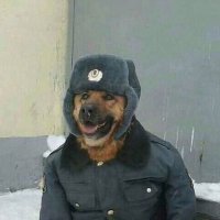 Sir Simps-A-Lot (@aj____leo) 's Twitter Profile