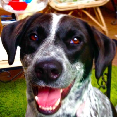 marangmcd's profile picture. Nature, architecture, interior design, photography, writing, politics, science, DOGS