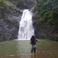 Diana M. Perales (@miscell_p) 's Twitter Profile