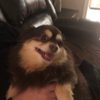 kb (@kclark9792) 's Twitter Profile