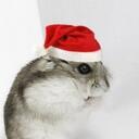 Nick DiDonato - @IBBEAST24 - Twitter