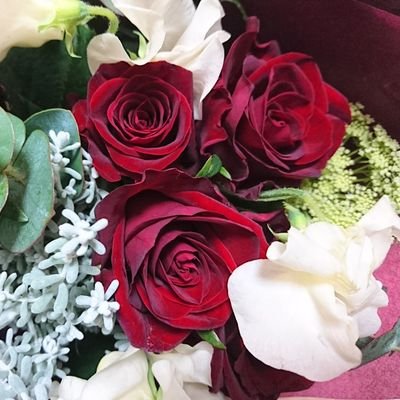 miuprostituee's profile picture. ２０１２年から１９年まで風俗嬢をしてましたが、女性を利用して(無能な)お店や広告代理店が儲ける仕組みに嫌気がさしてやめました。
子どもが独立したあとの第二の人生に向けていろいろ準備中。