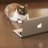 NOISE97842862's profile image