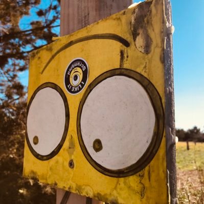 ashara_parastu's profile picture. 