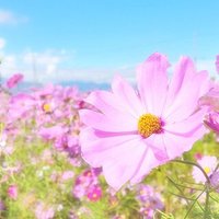 ナギ (@nagi_manab) Twitter profile photo