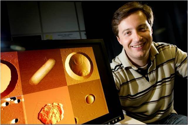 Researcher at LAAS-CNRS in Toulouse
Experti in AFM applied in biology and microbiology