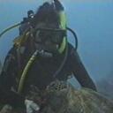 Alex Ip - @alex_ip - Twitter