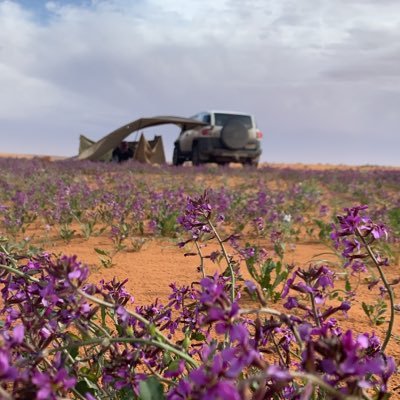 تمسك بالدعاء وكأنك ماعرفت دواءً.. ولاعلاجًا .. ولامستراحًا .. إلا هو ..! سيجبرك الله ولو بعد حين...