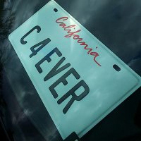 Long-T (@longt_corvette) Twitter profile photo