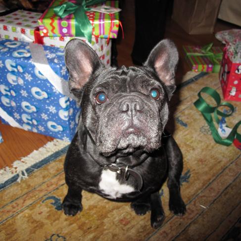 kandarts138's profile picture. from los angeles, ca - nisei