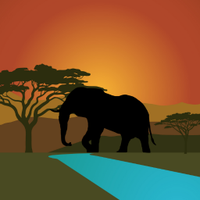 Giving Nature a Voice (@nature_voice) 's Twitter Profile