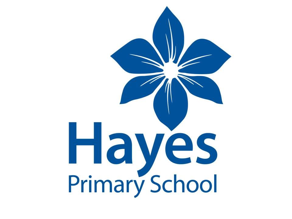 hayes_primary Profile Picture