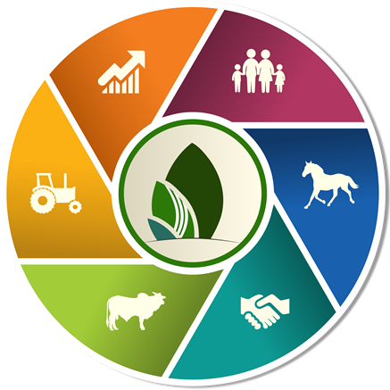 Portal de conteúdo rural com foco em levar informações de qualidade para os milhões de produtores rurais do Brasil.