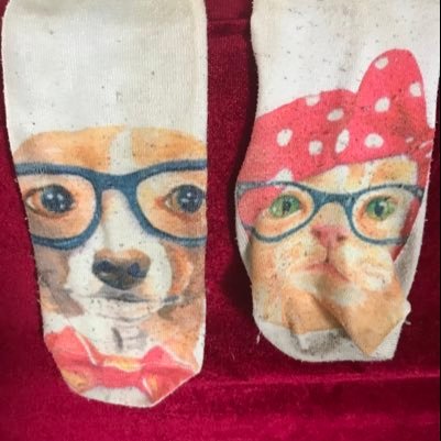 diedANDid's profile picture. Kelebeğin Dansı 1 ASIR sürer