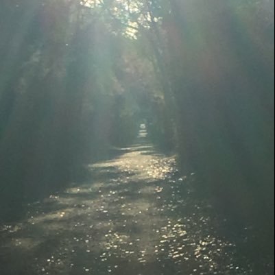 AmberCummins6's profile picture. 🐢🐢🐢😜