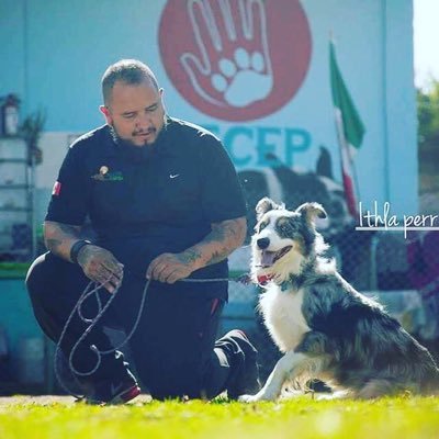 Entrenar con los perros y analizar sus conductas mis pasiones en mi vida