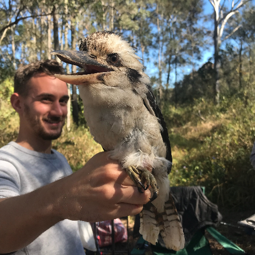 @FWF_at funded postdoc @MPIforBI & @KLIVVWien working on behavioural plasticity of courtship behaviour in ruffs and bowerbirds