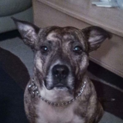 McVicarGavin's profile picture. 