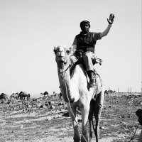 أحمد باصوطين (@a_bas2) 's Twitter Profile