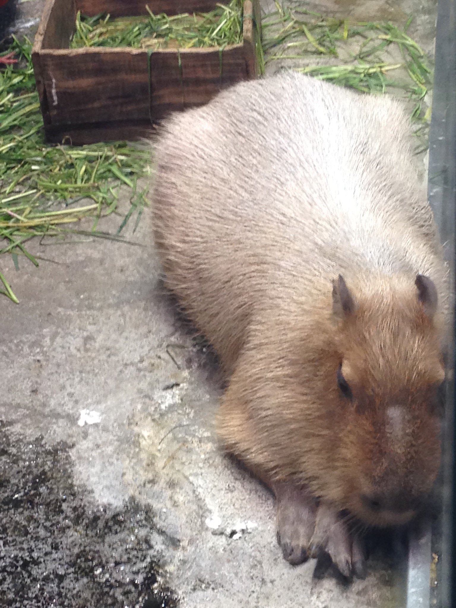 ddj685_2's profile picture. FGO、プリコネR、マスターデュエル、ヘブバンこれらの雑多垢です