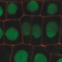 RNA Biology (@bolognalab) 's Twitter Profile