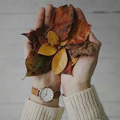 anggraeninovit7's profile picture. 