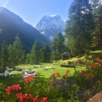 Diploma in Mountain Medicine (@mtnmeduclan) 's Twitter Profile