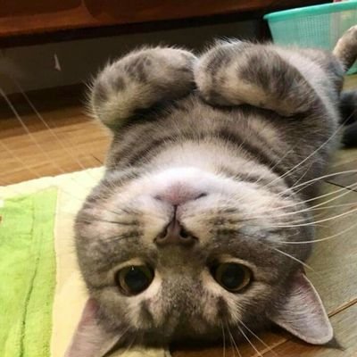 しがない単なるいちおとこ。
愛こそはすべて❤が信条。
あまり発信しないかもしれないけど、気にかけていただけるだけで、シアワセです😌