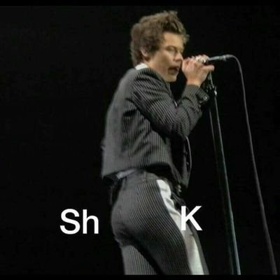 styles_textme's profile picture. harold styles you should text me 
@harry_styles