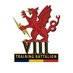 8 Trg Bn REME FC (@8TrgBnREMEFC) Twitter profile photo