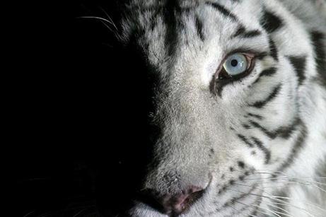 Tarantula6's profile picture. #GoHawks #Football #Darts #Rock #Metal