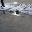 Ralph Gray - @RalphGr83364120 - Twitter